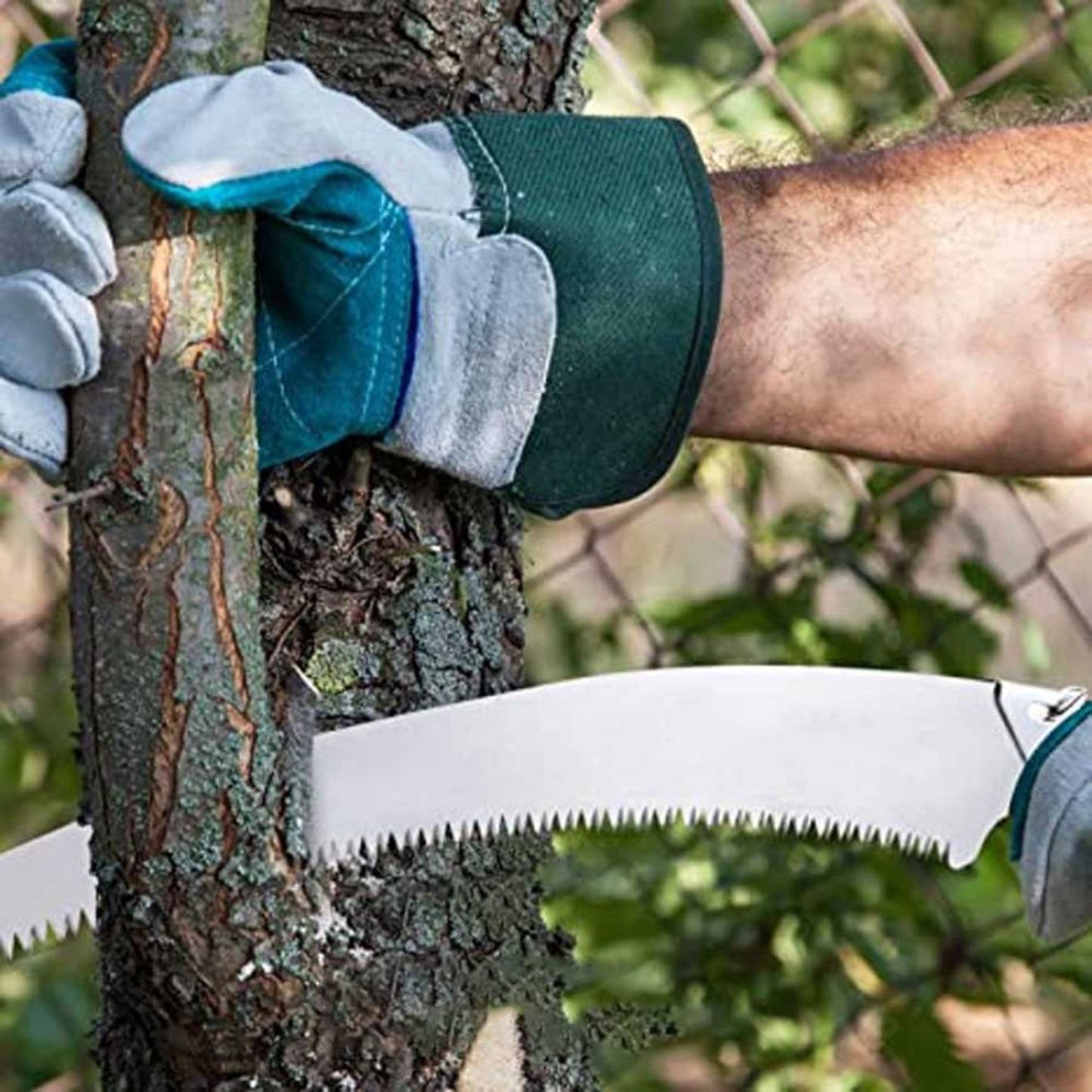 Hand Pruning Saw For Tree Branch Cutter