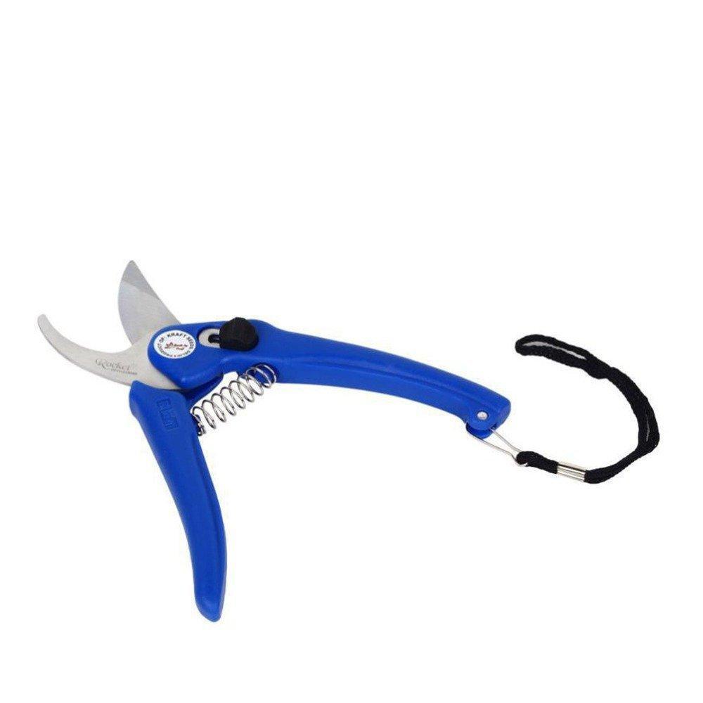 Stainless Steel Garden Scissors - BuyItOnline