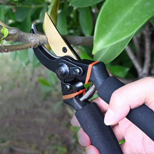 Heavy Duty Garden Pruning Shears - BuyItOnline