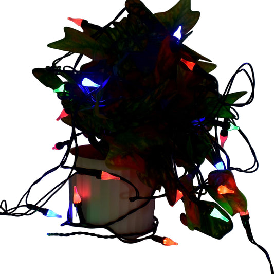 Multi-color Decorative Led String Light.
