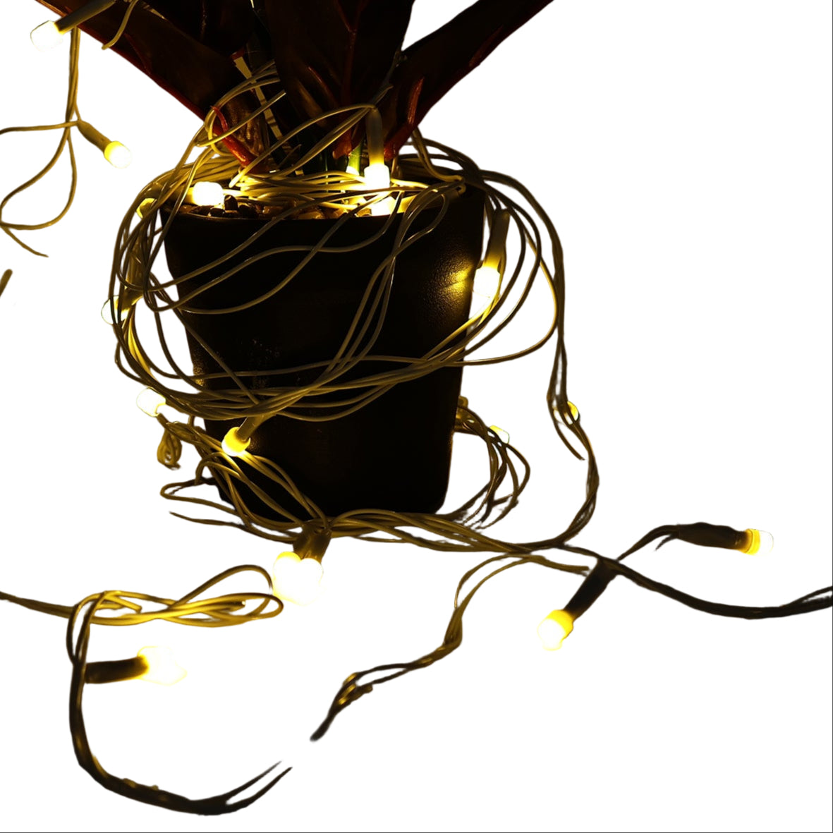 Warm Led Decorative String Light (8 Meter).