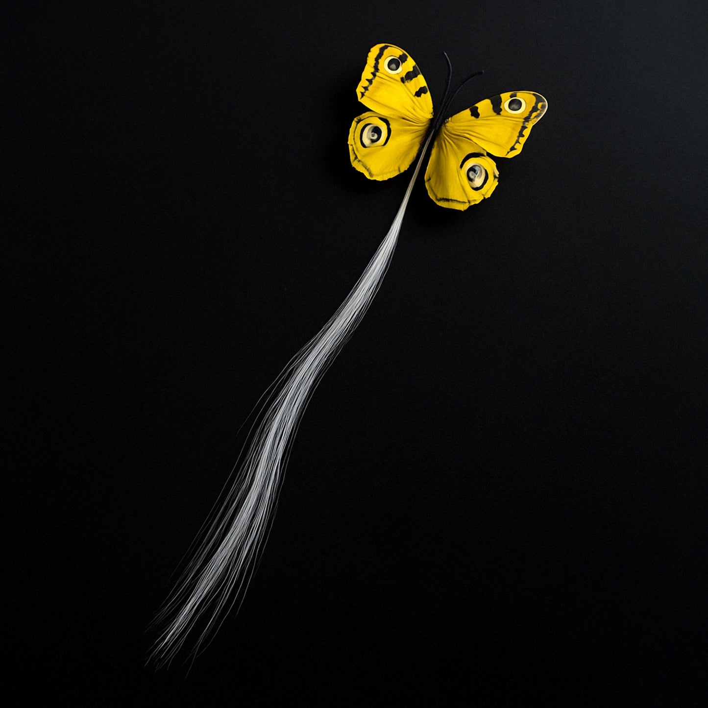 Led Butterfly Hair Braid Clip