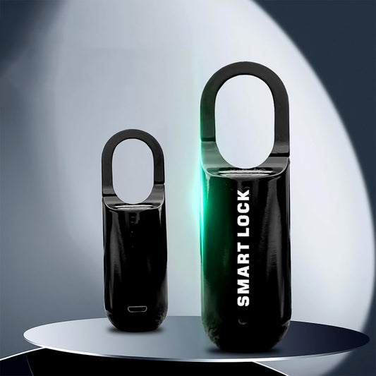 Small Usb Rechargeable Smart Fingerprint Padlock For Locker Wukusy