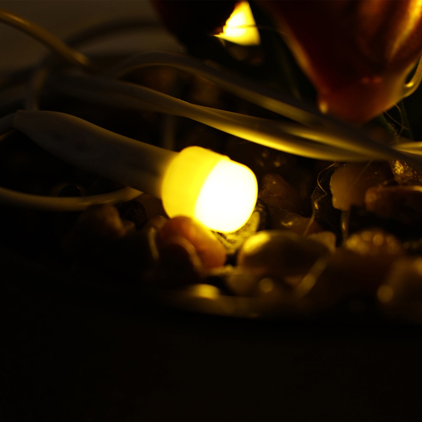 Warm Led Decorative String Light (8 Meter).