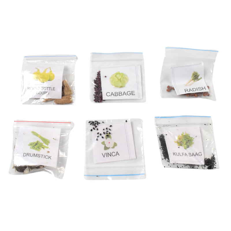 20-in-1 Vegetable & Flower Seeds Combo Pack - BuyItOnline