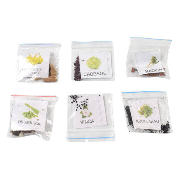 20-in-1 Vegetable & Flower Seeds Combo Pack - BuyItOnline