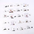 20 Flower Varieties Seeds Combo - BuyItOnline