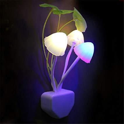 Night Light Mushroom Lamp - BuyItOnline