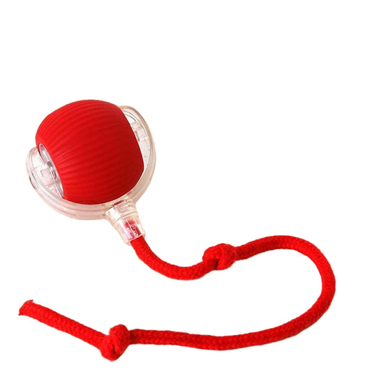 Viral Rolling Ball,Interactive Cat Ball Toy
