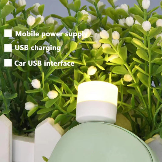 USB LED Night Light Mini Portable Lamp for PC & Laptop