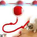 Viral Rolling Ball ,Interactive Cat Ball Toy 219eaz-qw