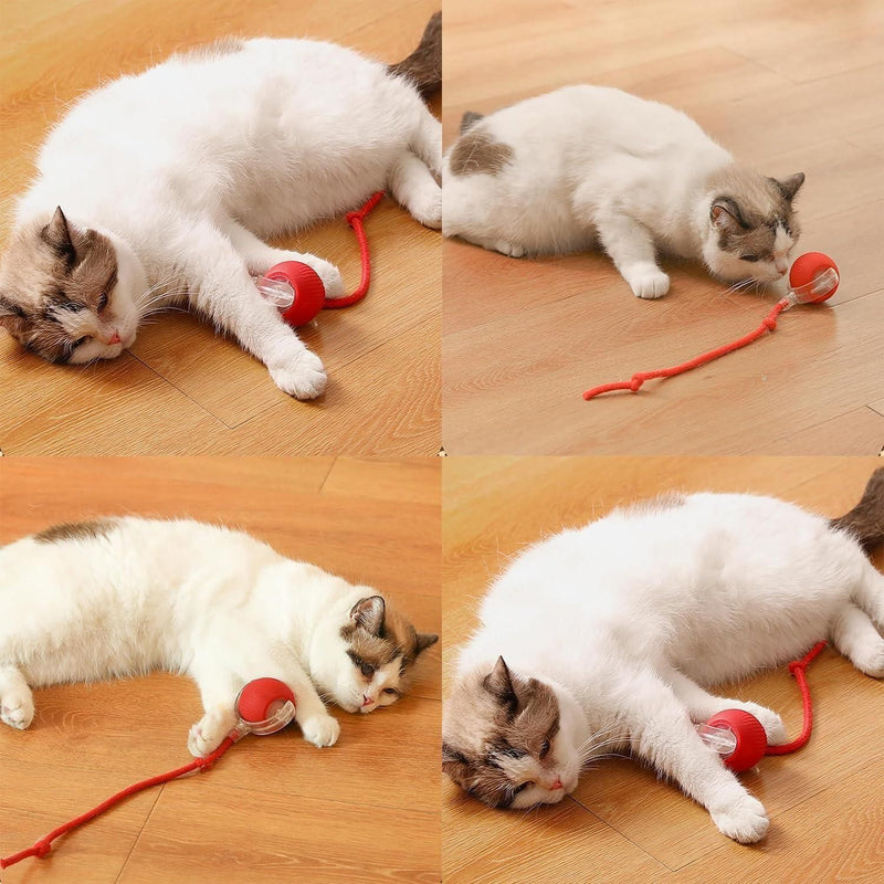 Viral Rolling Ball ,Interactive Cat Ball Toy 219eaz-qw