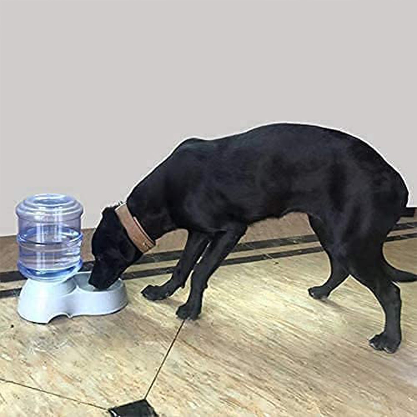 Automatic Pet Water Dispenser Self-dispensing Gravity Pet Feeder Water Cat Dog Feeding Bowl Drinking Water Wukusy