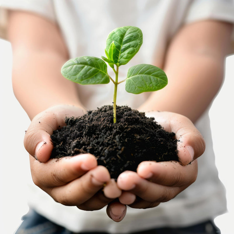Organic Vermicompost Black Soil - BuyItOnline