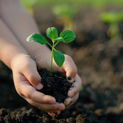 Organic Vermicompost Black Soil