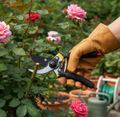 Garden Shears - Sharp Cutter Pruners, Scissor Pruner for Precise Gardening