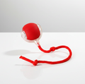 Viral Rolling Ball,Interactive Cat Ball Toy