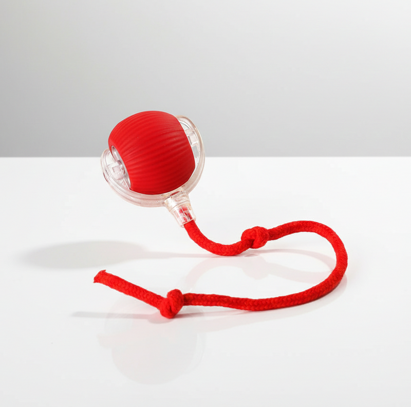 Viral Rolling Ball,Interactive Cat Ball Toy