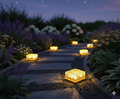 Solar Ice Cube Garden Light