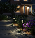 Solar LED Spike Spot Light