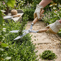 Heavy-duty B Grade Hedge Shear With Wooden Handle Wukusy