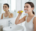 Adult Waterproof Electric Toothbrush Wukusy