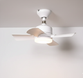 Ceiling Fans With Light