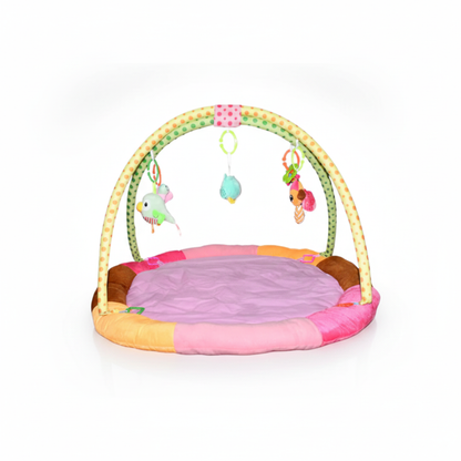 Multipurpose Baby Play Gym & Sleeping Mat
