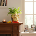 Decorative Solar Lord Ganesha Idol Wukusy