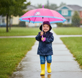Classic Hook Handle Umbrella