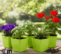 Flower Pots Square Shape For Indoor-outdoor Gardening