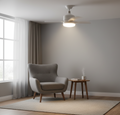 Ceiling Fans With Light