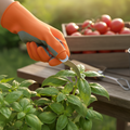 Garden Thumb Knife - Silicone Glove + Steel Blade