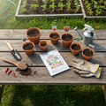 20-in-1 Vegetable & Flower Seeds Combo Pack
