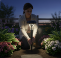 Solar Garden Led Light (Pack Of 1 Pc)