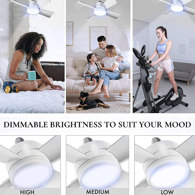 Ceiling Fans With Light Wukusy