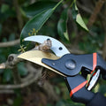 Heavy Duty Garden Pruning Shears - BuyItOnline