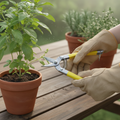 Precision Micro Garden Snip Pruning Scissor