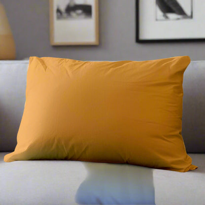 Couch Pillows Cover