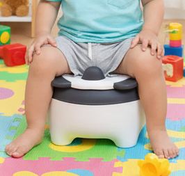 3-in-1 Baby Portable Potty Seat