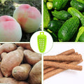 Plastic Fruit Vegetable Brush. - BuyItOnline