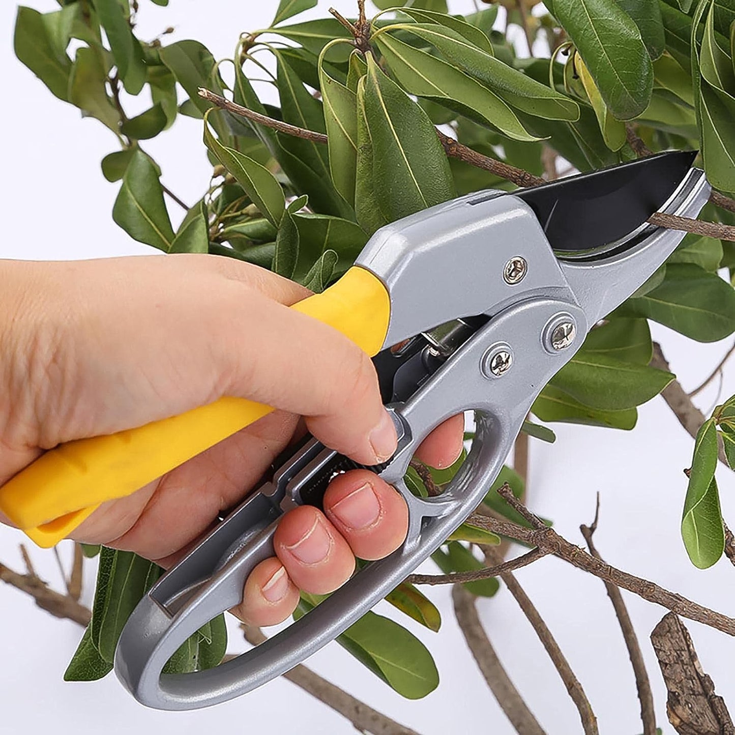 Enhanced Pruning Shears