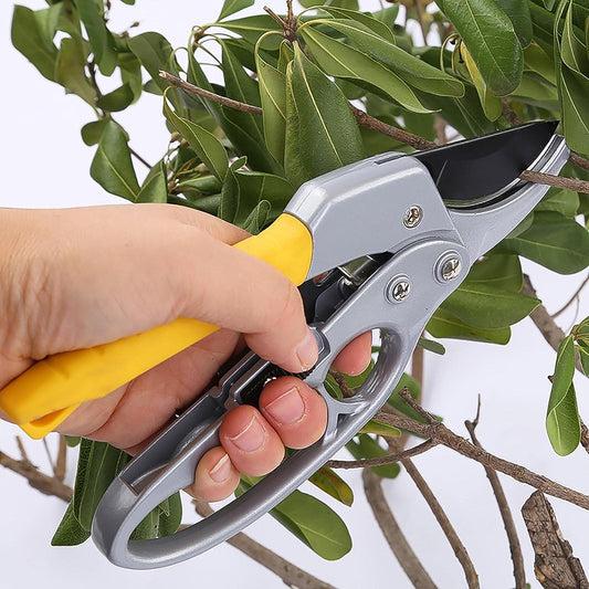 Enhanced Pruning Shears