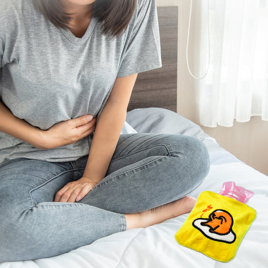 Small Hot Water Bag with Cute Duck Cover