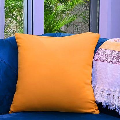 Couch Pillows Cover