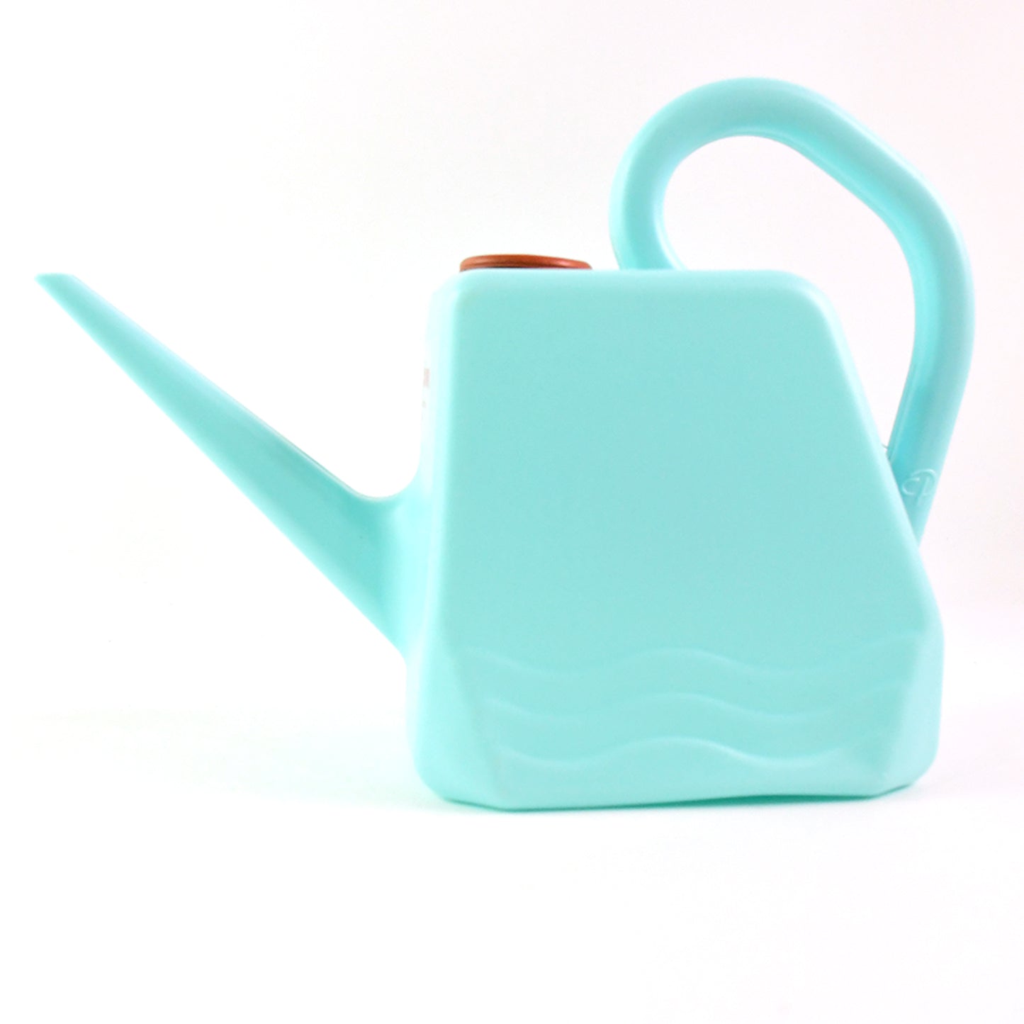 2L Heavy-Duty Plastic Watering Can