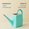2L Heavy-Duty Plastic Watering Can - BuyItOnline