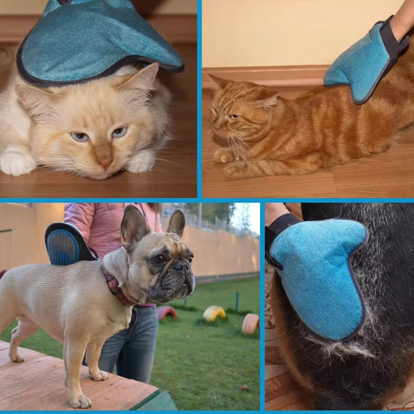 Pet Grooming Glove(1 pc) Wukusy