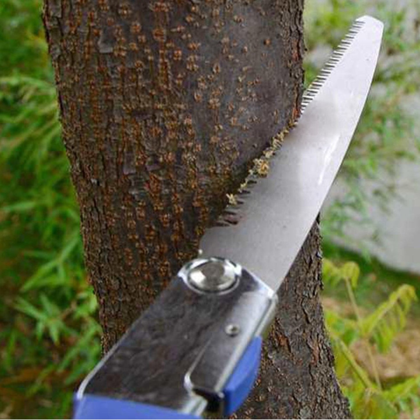 Folding Garden Saw