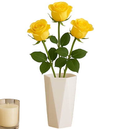 Modern Geometric Hexagon Plastic Flower Vase (1 Pc) Wukusy